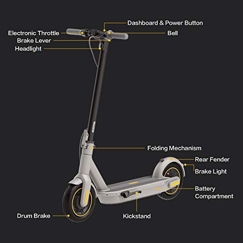 Segway Ninebot MAX G30LP Electric Kick Scooter, Up to 25 Miles Long-range Battery