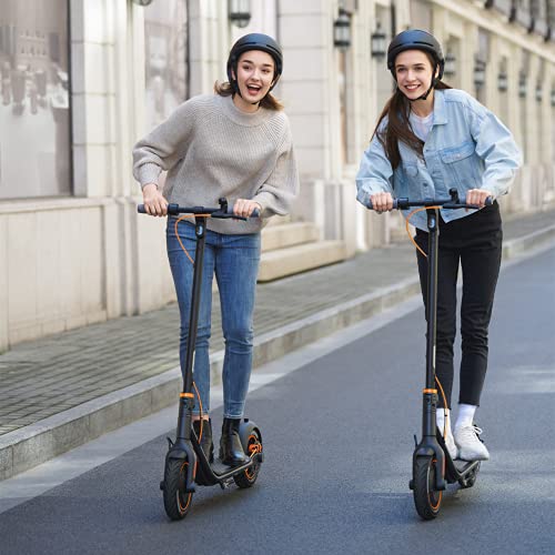 Segway Ninebot F40 Electric Kick Scooter, 350W Powerful Motor
