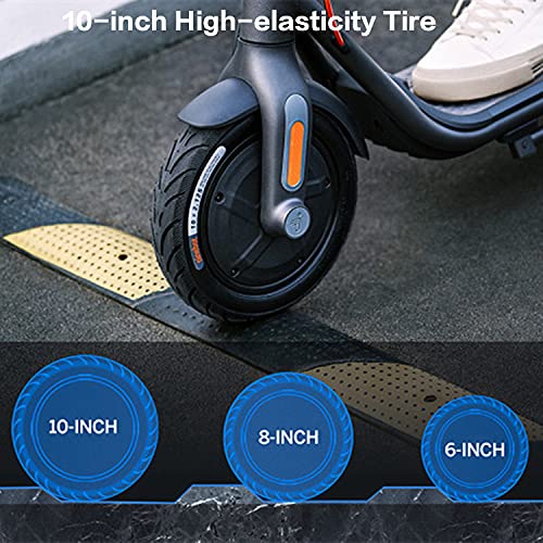 Segway Ninebot F40 Electric Kick Scooter, 350W Powerful Motor