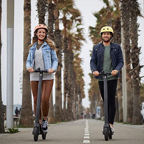 Segway Ninebot E22 E45 Electric Kick Scooter, Lightweight and Foldable, Upgraded Motor Power