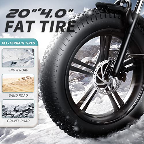 Auloor Electric Bike,750W for Adults, 20" Fat Tire, 30MPH Folding Electric Bike