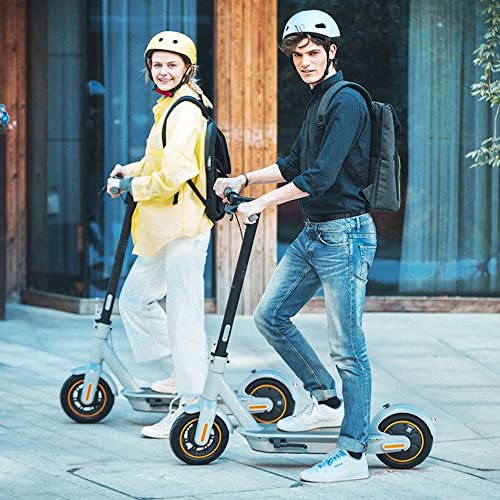 Segway Ninebot MAX G30LP Electric Kick Scooter, Up to 25 Miles Long-range Battery